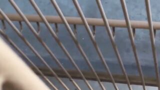 NipponSexTV.com - Japanese babe filmed pissing in public by voyeur
