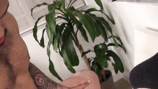 BarePigs.com - Muscular latino sucks young ass before raw penetration