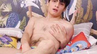 BoysHD.com - Luis Angel's solo masturbation of his hairy thick cock