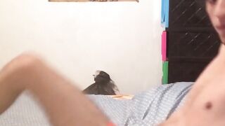 BreedingLatino.com - Innocent looking Latino jock loves masturbating for the camera