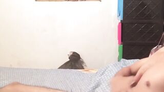 BreedingLatino.com - Innocent looking Latino jock loves masturbating for the camera