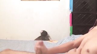 BreedingLatino.com - Innocent looking Latino jock loves masturbating for the camera