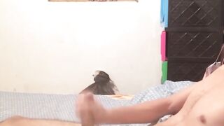 BreedingLatino.com - Innocent looking Latino jock loves masturbating for the camera