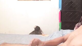 BreedingLatino.com - Innocent looking Latino jock loves masturbating for the camera