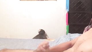 BreedingLatino.com - Innocent looking Latino jock loves masturbating for the camera