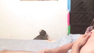 BreedingLatino.com - Innocent looking Latino jock loves masturbating for the camera