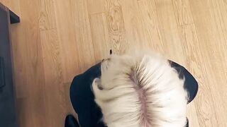 Blonde Daruma Rai uses her tight holes to get a big loan