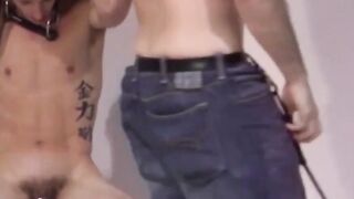 DaddyBondageBoy.com - Twinks restrained for whipping during intense blowjob action