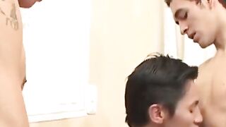 Double Your Trouble A Tale of Two Hung Homos