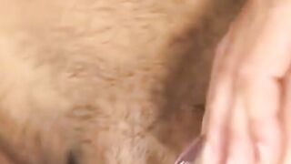 Cocks Canvas A Nude Art Obsession
