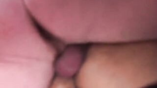 Bear Necessities Dalton Hawg and Lanz Adams Public Affair