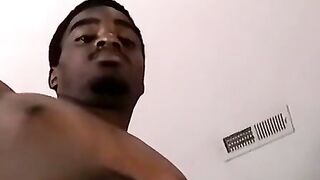Black Stallion Takes Advantage of Fat Bride
