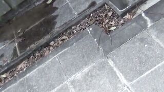 Tokyo Temptations Secret Urinations Exposed