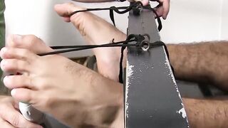 Sensory OverloadXXX.com  The Domination of Ricky Larkin