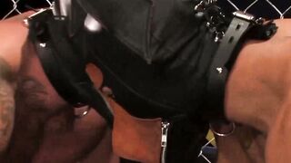 Pawsome Punishment Alessio Romeros Alpha Claim
