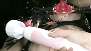 処女の落とし Floフレオ秘められた切り札を暴露せよ