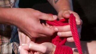 Conquering the Beast A Furry Tale of Submission