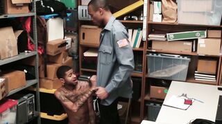 Punishing the Petty Thief