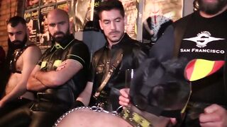 Pawsitive Orgy A Pups Guide to Debauchery