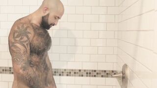 Bear Necessities