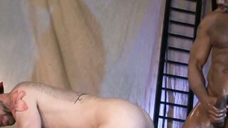 Tatted Tease Preston Steeles Tattooed Temptation