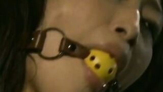 夜の狂تسดำ