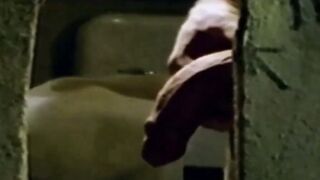Toilet Tango A Sensual Encounter