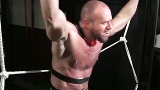 TiedUpTwist.com  Brutal Basement Bondage