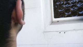 Cum Convert