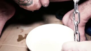 Bound and Beautiful Yoshis Descent into Slavery