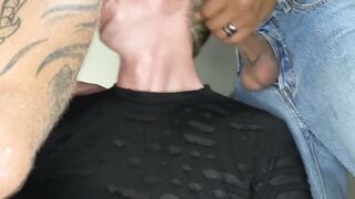 Conquering the Cock Dynasty