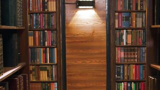 Public Servant, Private Indiscretions A Librarians Descent into Debauchery