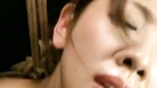 肉粕の塩edithKVXristol224xxxx252