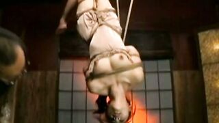 肉粕の塩edithKVXristol224xxxx252