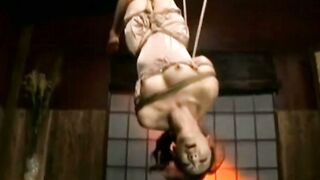 肉粕の塩edithKVXristol224xxxx252