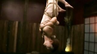 肉粕の塩edithKVXristol224xxxx252