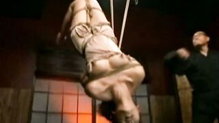 肉粕の塩edithKVXristol224xxxx252