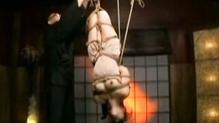 肉粕の塩edithKVXristol224xxxx252