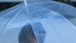 濡れた夜の密室フレンド