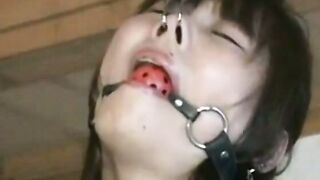鼻責め三点針貫通