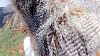 Wildwood Whispers A Gay Benjamin Riley Amateur Fucked in Public