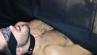 Bound for Pleasure