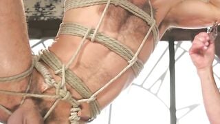 Disciplined to Pleasure