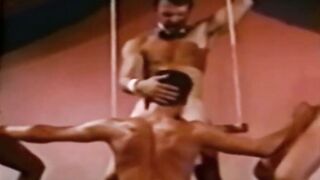 Classic Chaos A Luxury Gay Orgy