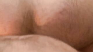 Pawsome Pounding A Hairy Bears Wild Ride