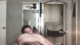Pawsome Pounding A Hairy Bears Wild Ride