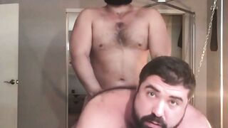 Pawsome Pounding A Hairy Bears Wild Ride