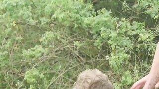Wildwood Whispers Jerrys Tempting Trek with Leo