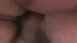 Furry Frenzy A Pleasurable Pounding