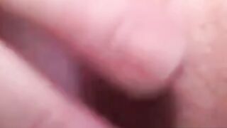 Ginger Frenzy The Ultimate Tease